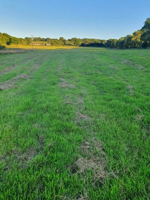 Photo 6- click for photo gallery